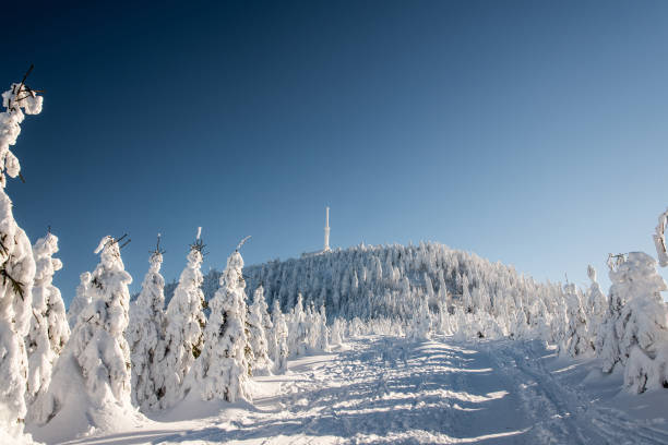 Lysa hora hill in winter Moravskoslezske Beskydy mountains in Czech republic Lysa hora hill in winter Moravskoslezske Beskydy mountains in Czech republic with hiking trail, frozen trees and clear sky moravian silesian beskids photos stock pictures, royalty-free photos & images