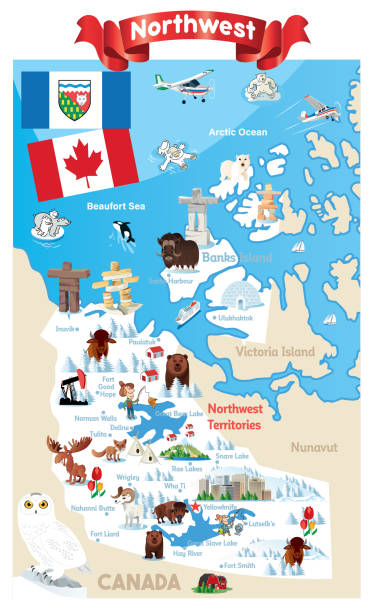 bildbanksillustrationer, clip art samt tecknat material och ikoner med nordvästra kanada - red fox snow