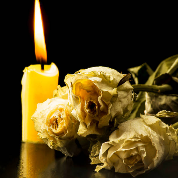 istock Withered roses, and a burning yellow candle on a black background with reflection 1131603984