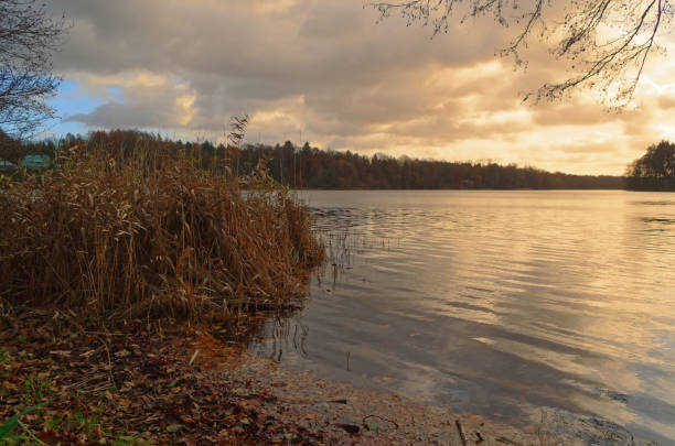istock Sunset over lake with a reed in foreground 1131604013