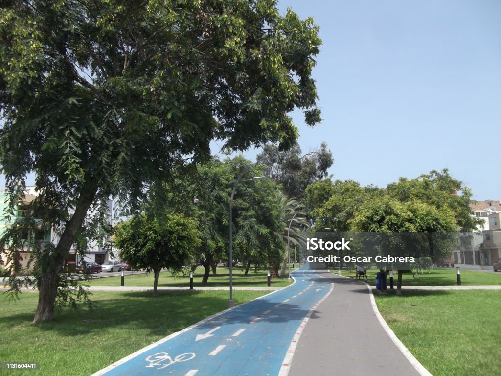 Walk with Trees The photo shows a pedestrian promenade with bike path on a sunny summer morning. Lima - Peru Stock Photo