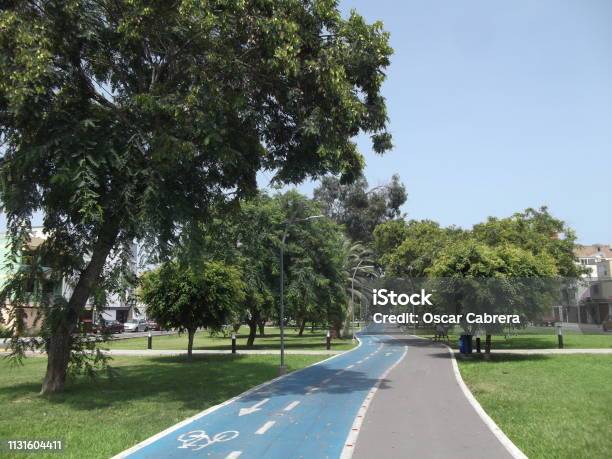 Walk With Trees Stock Photo - Download Image Now - Lima - Peru, Peru, Street