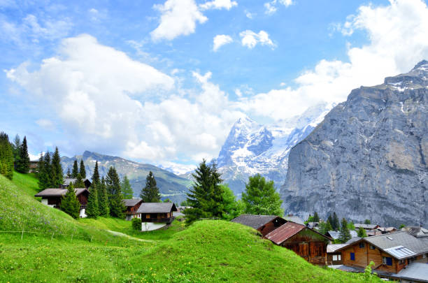monte jungfrau sullo sfondo e campo verde al murren village nelle alpi svizzere - muerren foto e immagini stock