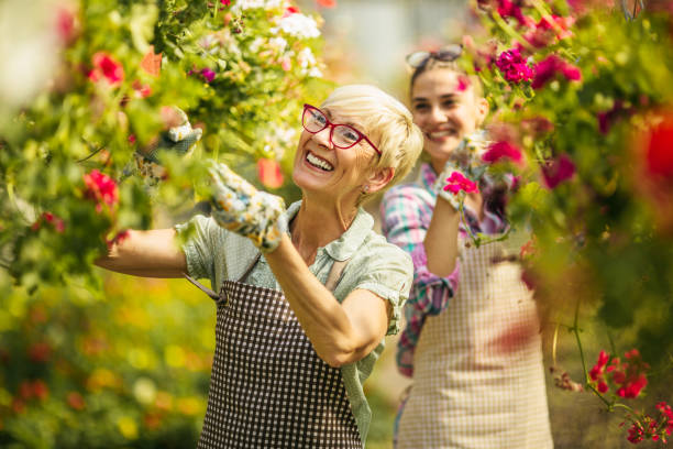 istock Florists working at botanical garden 1131607338