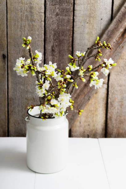 istock Cherry flower branch vase 1131607389