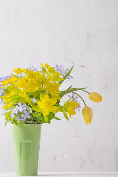istock yellow and blue flowers in vase on background old white wall 1131607570