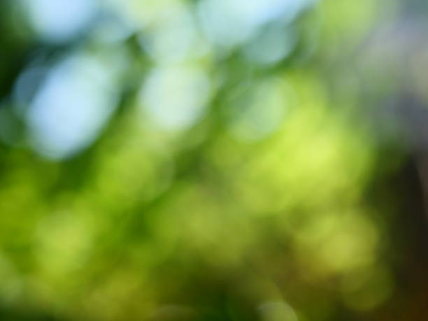 istock Abstract defocused green garden background 1131608496
