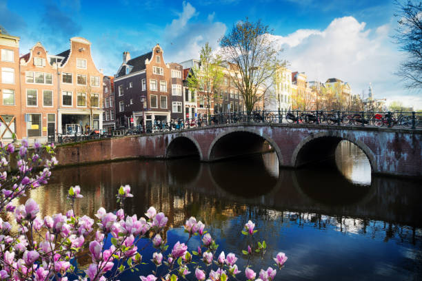 istock Houses of Amstardam, Netherlands 1131608888