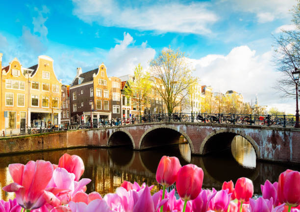 istock Houses of Amstardam, Netherlands 1131608967