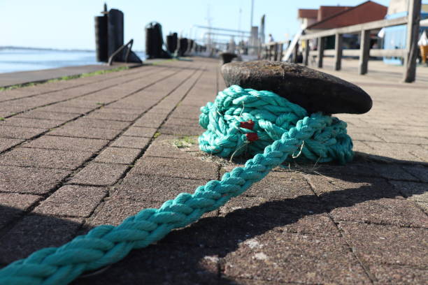 istock Green rope on a big old cleat on a sunny day with shadow 1131610248