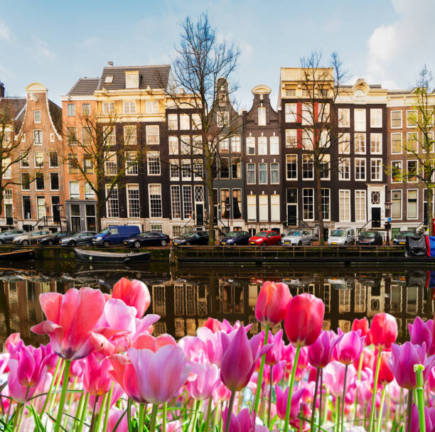 istock Houses of Amstardam, Netherlands 1131610266