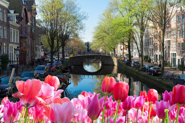 istock Houses of Amsterdam, Netherlands 1131611098