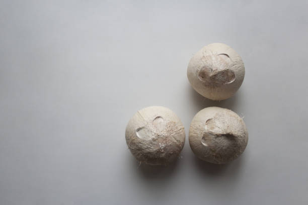Three coconut fruits isolated on white background from a high angle view