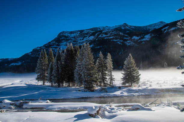istock Winter scenary in Yellowstone 1131613077