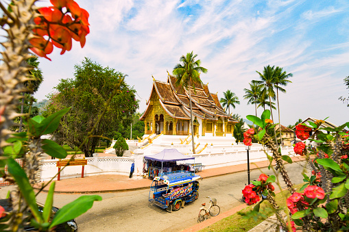 Stunning view of a tuk tuk (auto rickshaw) passing in front of the beautiful Haw Pha Bang Temple with some blurred Dok Champa laos national flowers in the foreground. Luang Prabang, Laos.