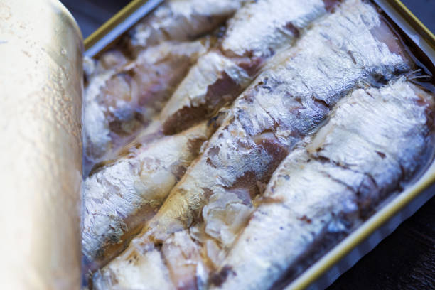 sardinas en lata - vertebrate european cuisine seafood saltwater fish fotografías e imágenes de stock