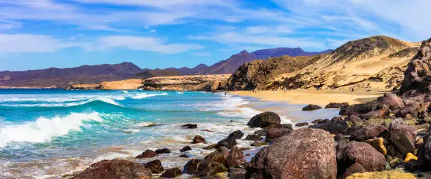 Photo of Wild beauty and unspoiled beaches of Fuerteventura. La Pared -popular surfer's spot, Canary islands