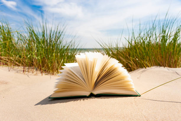 istock Book in dunes at the Beach 1131616893