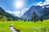 Schöne Schweizer Berge im Frühling