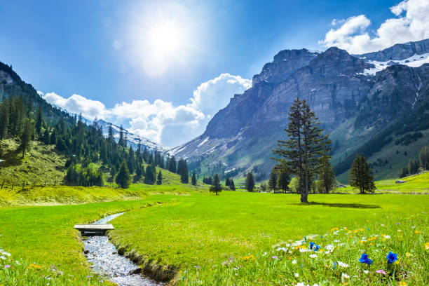 prachtige zwitserse bergen in de lente - lente natuur stockfoto's en -beelden