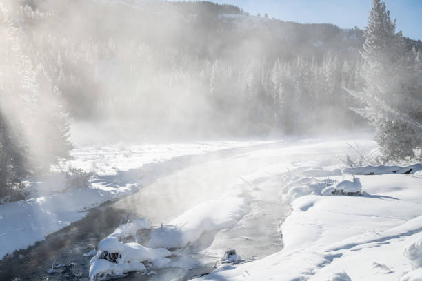 istock Winter scenary in Yellowstone 1131617242