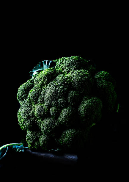 istock Big head of fresh green broccoli on dark rustic background, selective focus, minimalism 1131620282