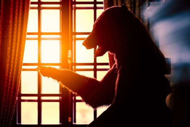 Stuffed bear in old room at sunset. Hunter trophy.
