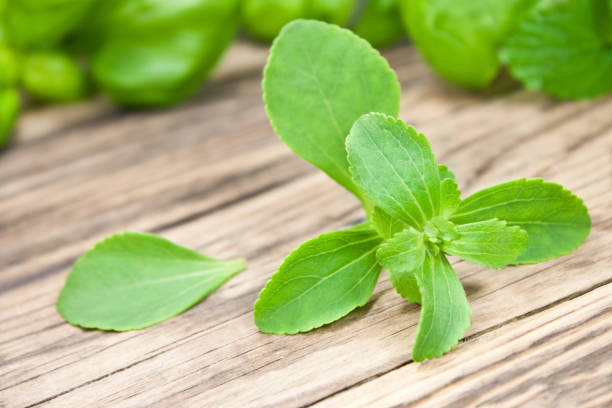 istock Stevia herbs  sweetener close up 1131621162