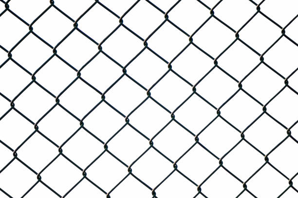 istock Mesh wire fence on the white background. Isolated. 1131621390