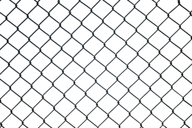 istock Mesh wire fence on the white background. Isolated. 1131621401