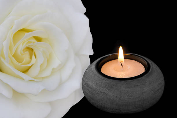 istock White rose and black background with candle 1131622526
