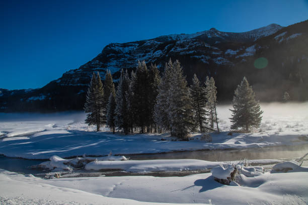 istock Winter scenary in Yellowstone 1131623969