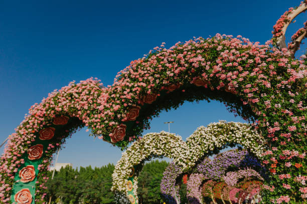 istock flower bed with colorful flowers - Image 1131624161