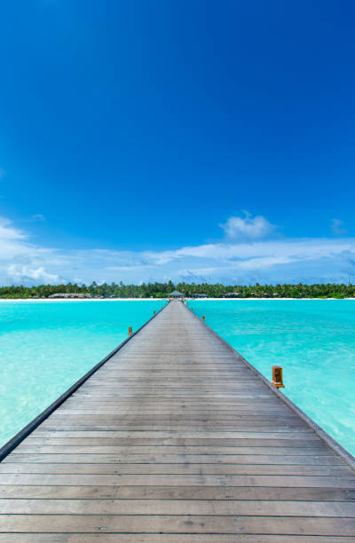 istock tropical Maldives island with white sandy beach and sea 1131625770