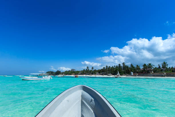 istock sea in Zanzibar beach 1131625788