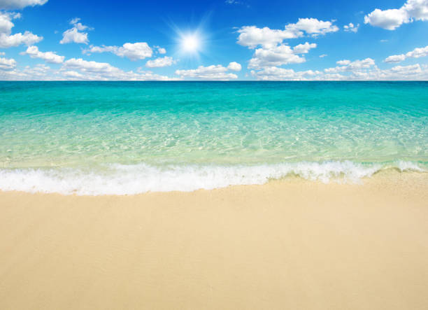 istock beach and tropical sea 1131625808