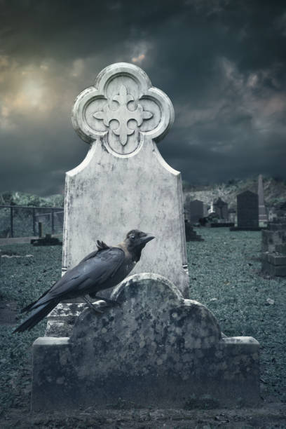 istock raven sitting on tombstone 1131629357