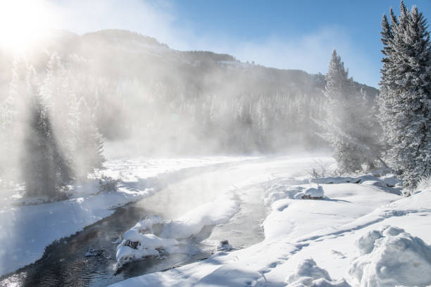 istock Winter scenary in Yellowstone 1131629494