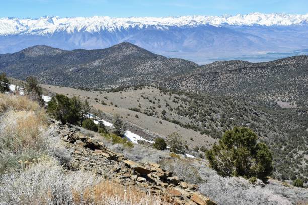 istock Sierra Nevada Mountain view in springtime, California USA 1131630740