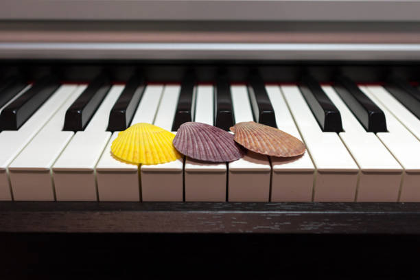 istock Composition of seashells on the piano keyboard. 1131631047