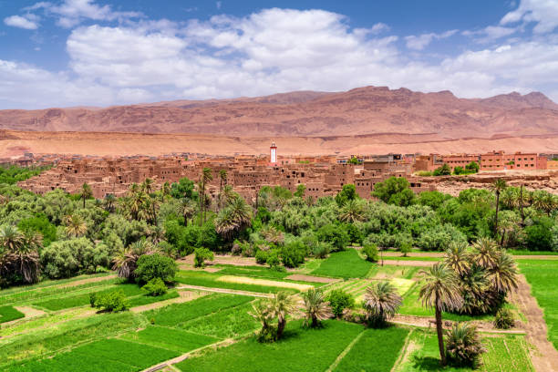 istock Morocco - Fertile river valley, kasbah, and town 1131636719