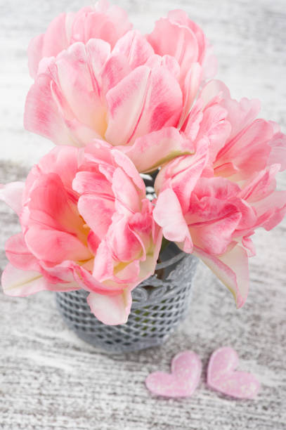 istock Fresh pink tulip flowers and candle 1131637662