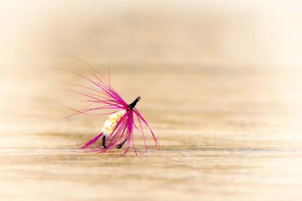 istock Lures flying for fishing close-up 1131642040