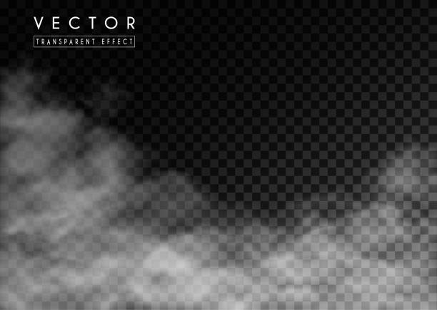 透明な背景に白い霧、雲やスモッグ。ベクトル効果ミストと煙 - vector backdrop photographic effects horizontal点のイラスト素材／クリップアート素材／マンガ素材／アイコン素材