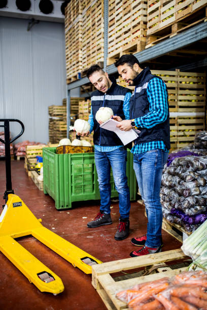istock Fresh vegetables and fruit in warehouse 1131645817