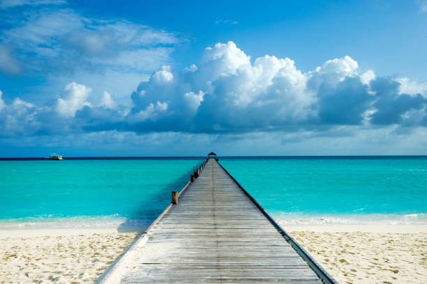 istock tropical Maldives island with white sandy beach and sea 1131648111