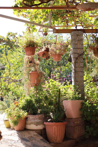 istock pots in the sunny garden 1131648572