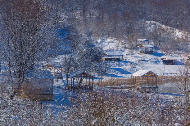 Snow-covered arbors in the winter forest