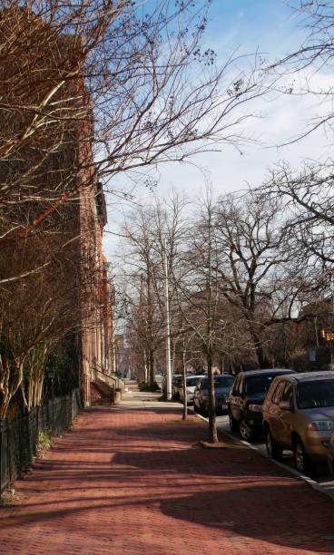 Bolton Hill Sidewalk (CLOSEUP)  -  Baltimore,MD