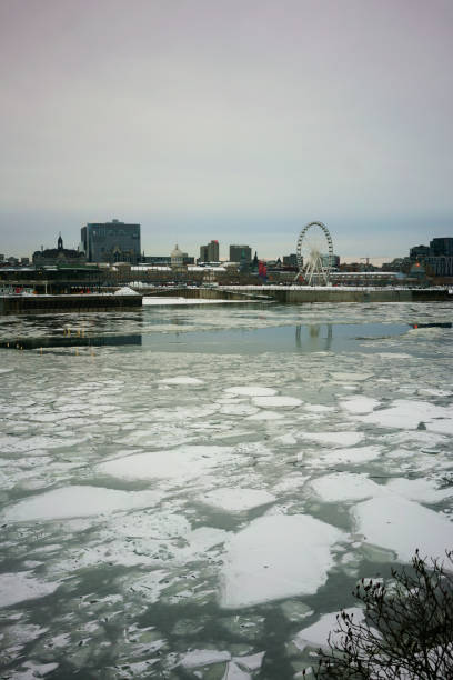 istock Montreal Downtown View From Accross St Lawrence River 1131652471